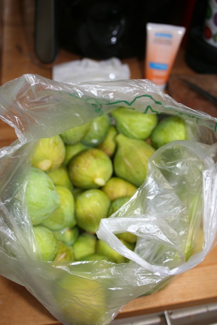 Freshly picked figs